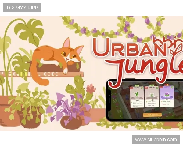 bbin电脑版官方下载后常见问题及解决方案,提升游戏体验的实用指南 bbin电脑版官方下载后常见问题及解决方案,提升游戏体验的实用指南